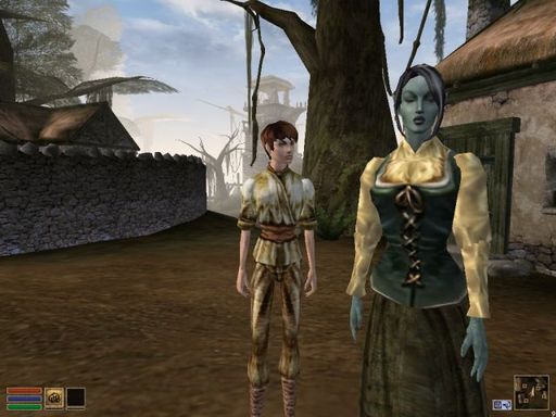 Elder Scrolls III: Morrowind, The - Будущее Морроувинда.