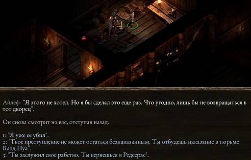 Pillars of Eternity - «Pillars of Eternity»  - впечатления нуба (часть четвёртая)